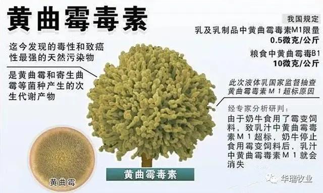 脱霉剂产品种类繁多你买对了吗,脱霉剂怎么区别好与差