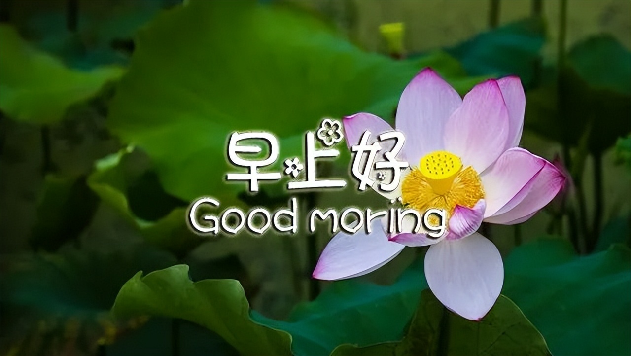 2022缘分早上好图片大全送给真心朋友早上好问候带给你一天好心情