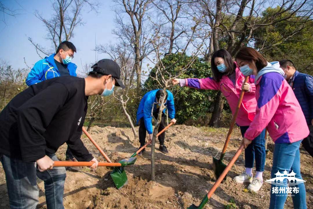 开展春季植树造林助力生态文明,扬州出台造林绿化工作意见