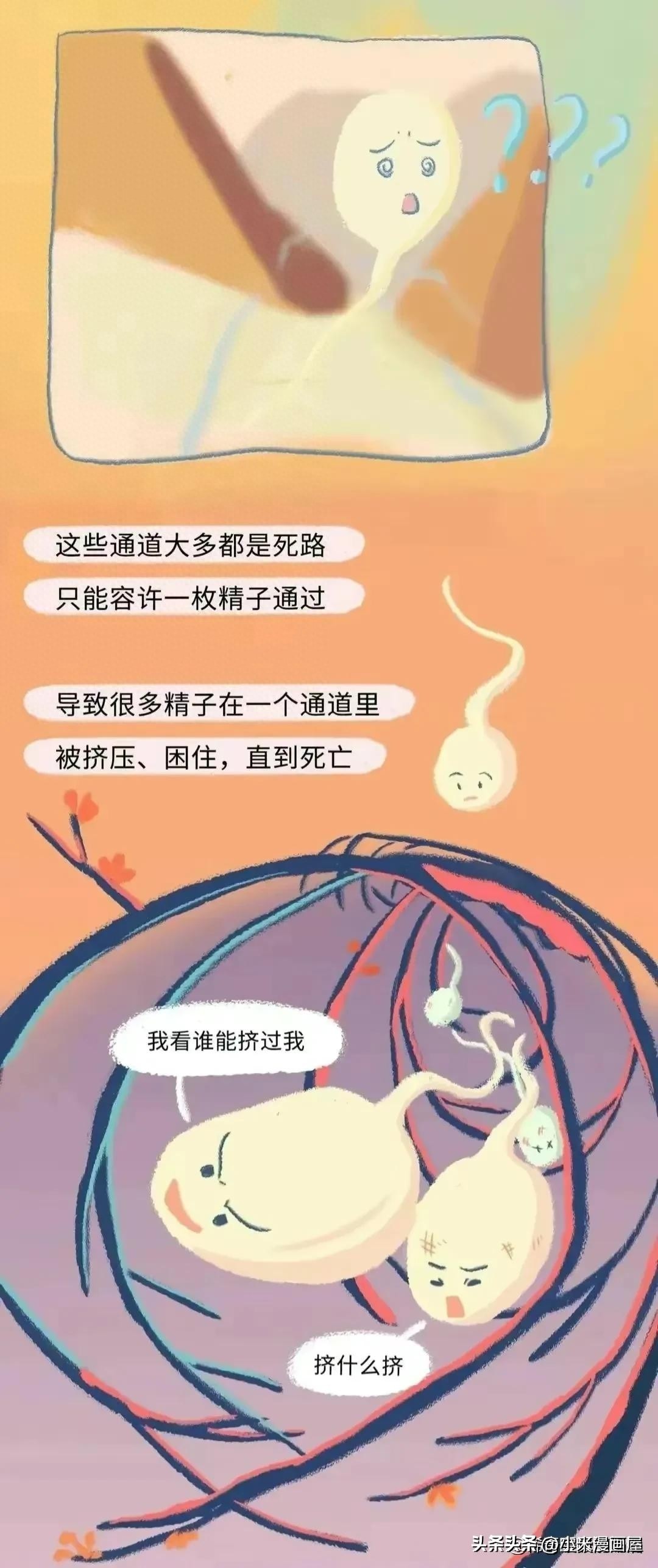 小蝌蚪找妈妈故事完整漫画,漫画中小蝌蚪是什么