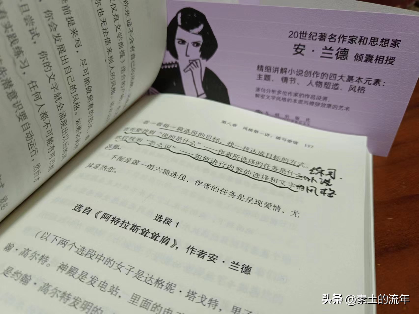 安兰德的小说写作课百度网盘,安兰德写作课