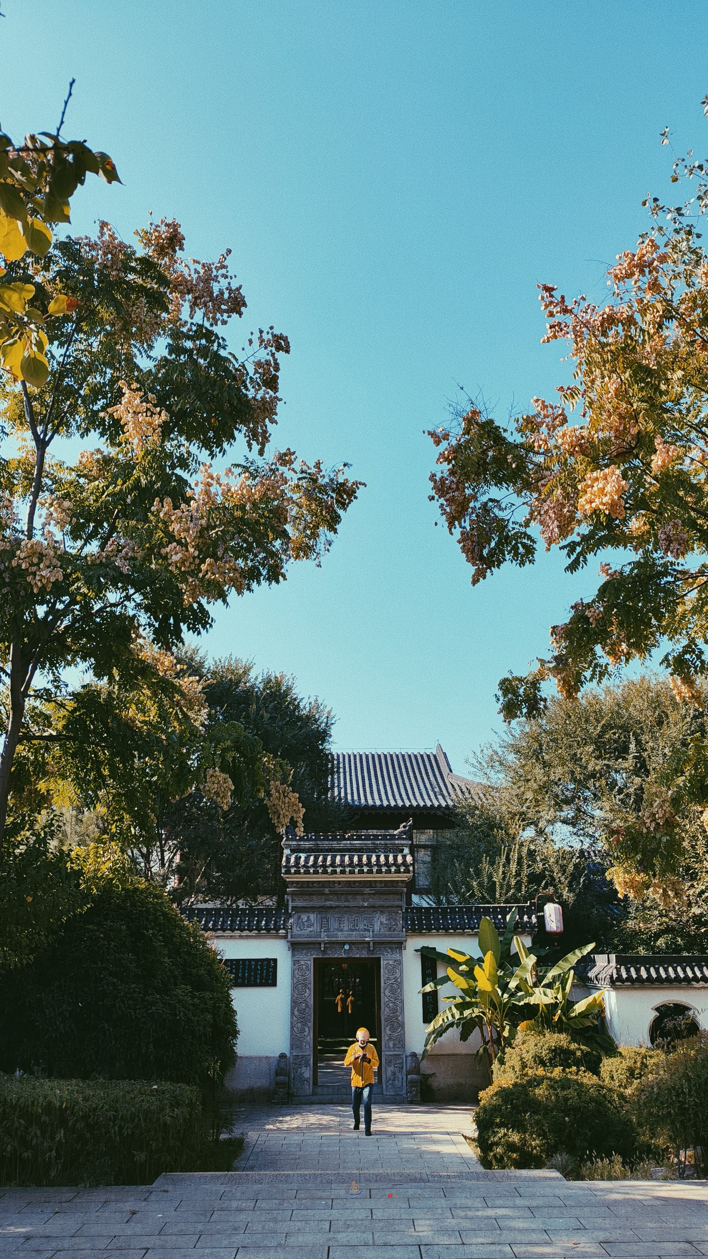 武汉内环大沙湖旅游,武汉沙湖公园最新视频