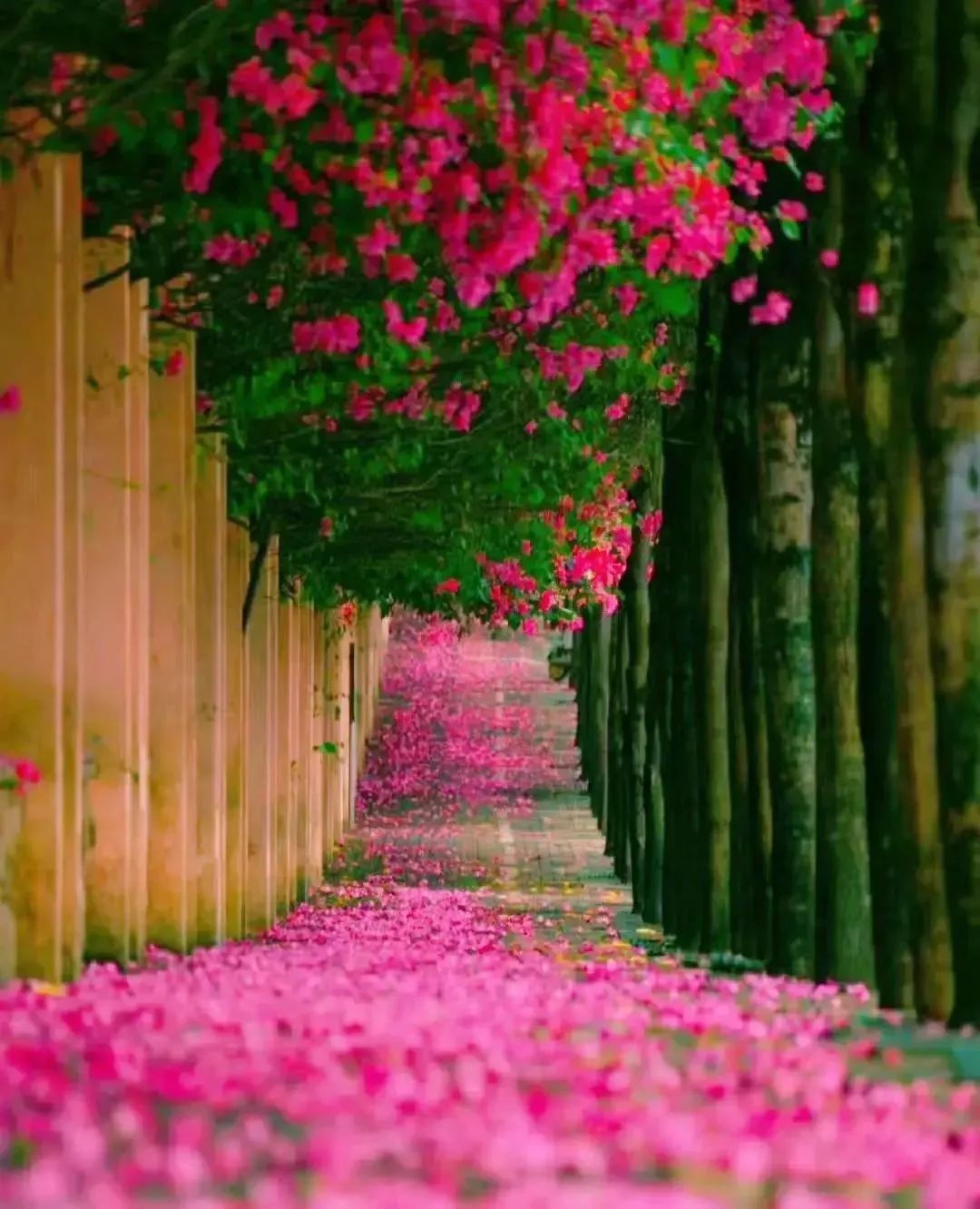 陈仁德诗,陈仁德西江月填词