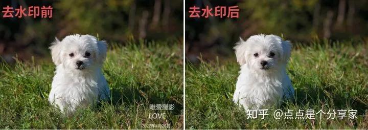 盘点五款好用方便的视频去水印软件，做剪辑的不要错过啦