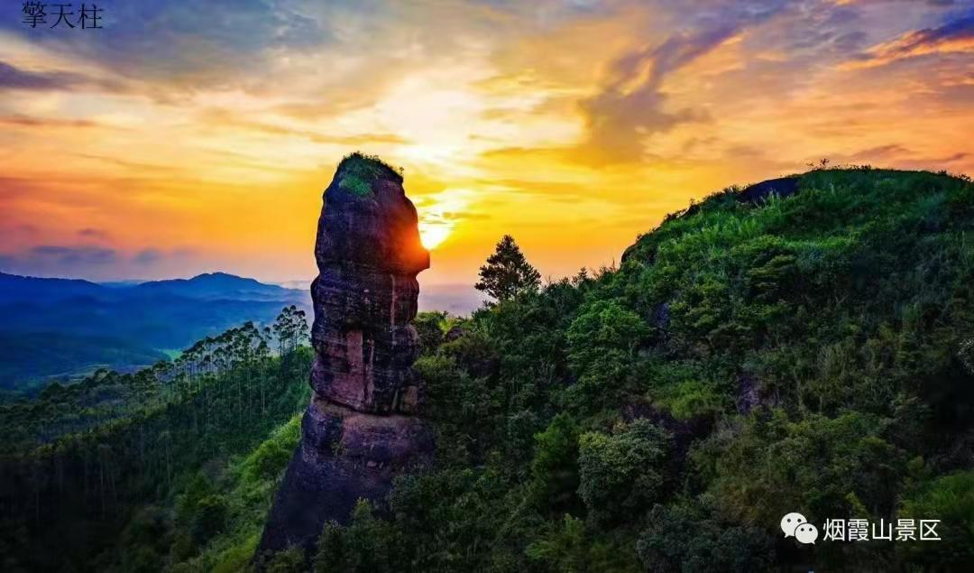 2020年灵山荔枝采摘地点,广西灵山荔枝现摘现吃