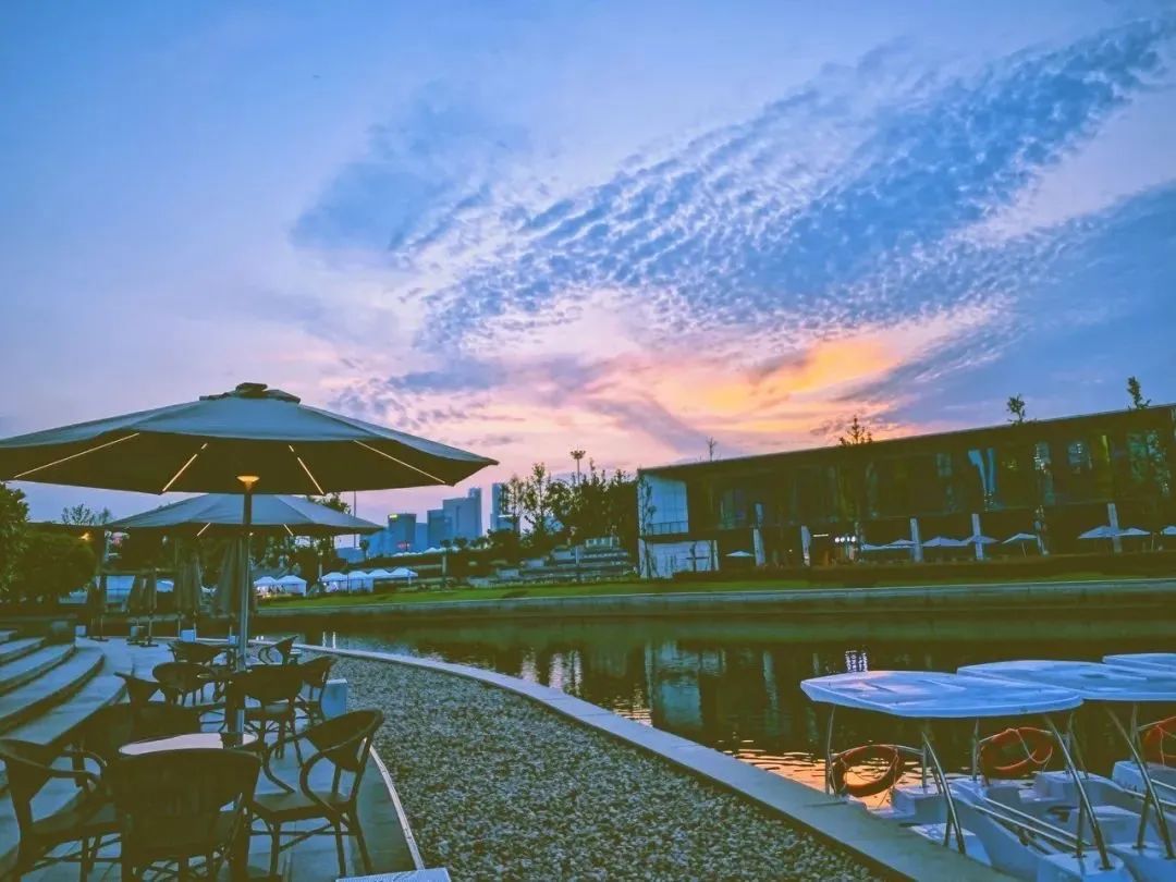 相约杭州亚运会广东,相约杭州聚焦亚运