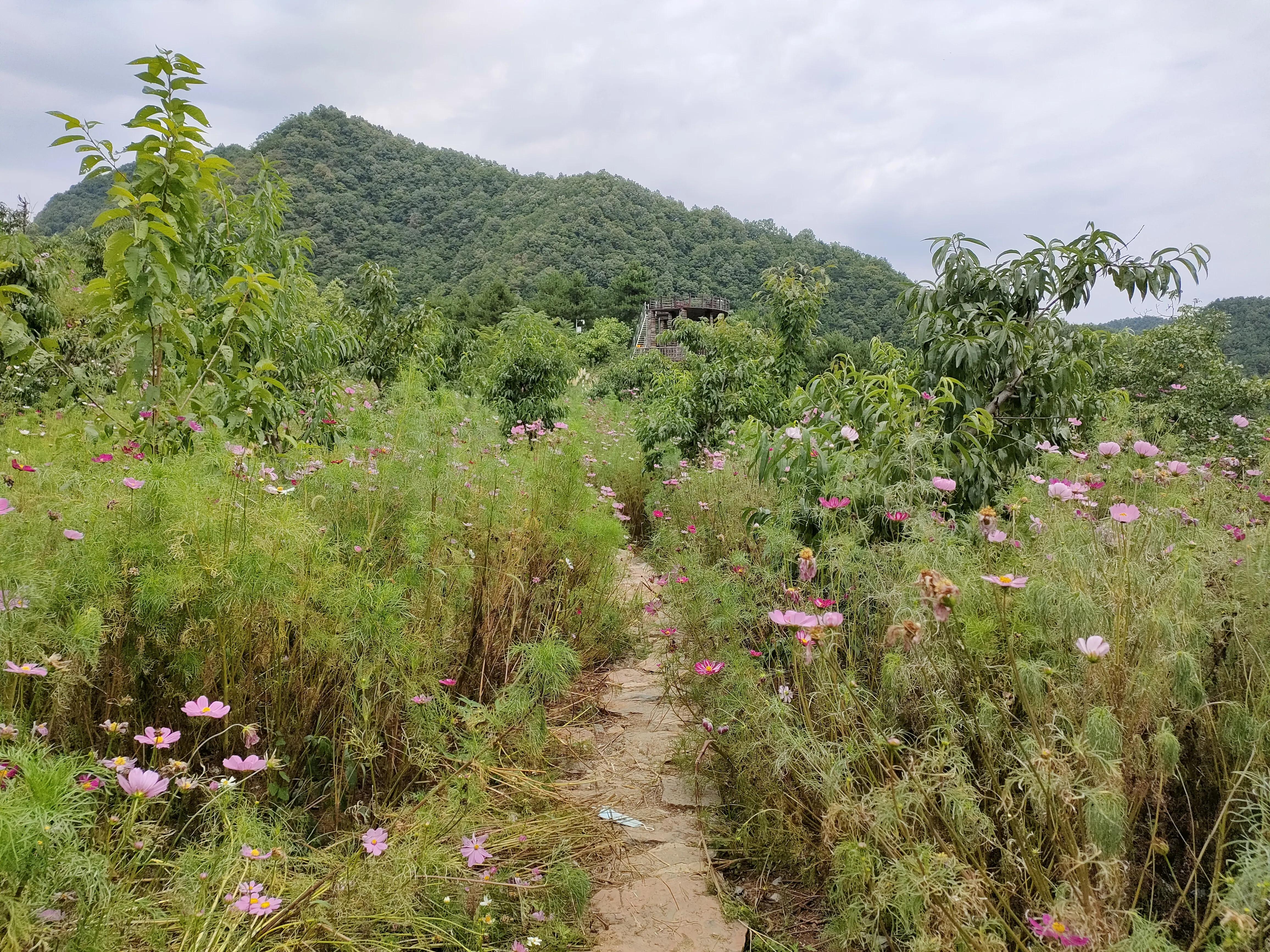 秦岭江山景区怎么样,秦岭江山景区最新通知
