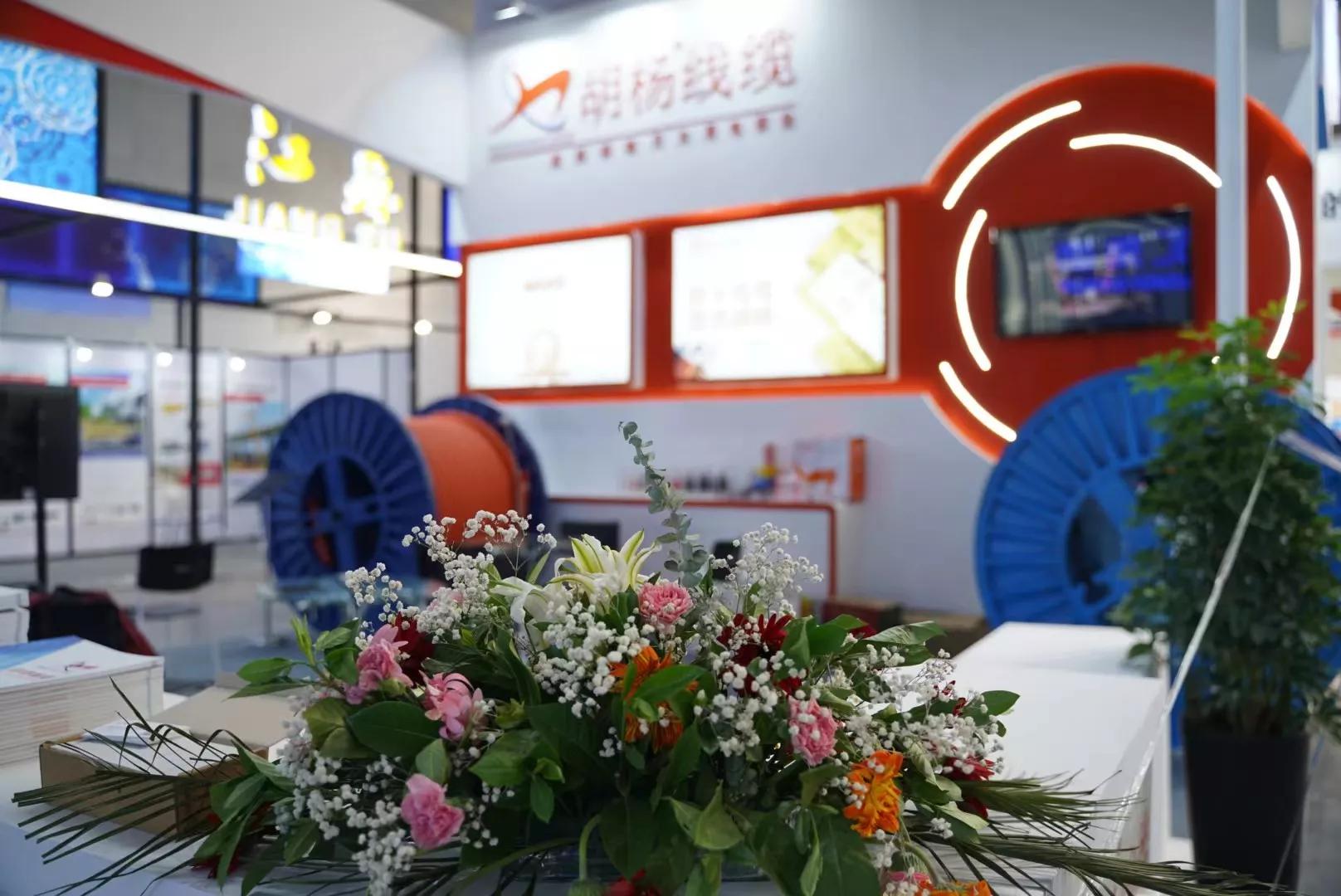 国家专精特新小巨人企业微视频,国家重点专精特新小巨人