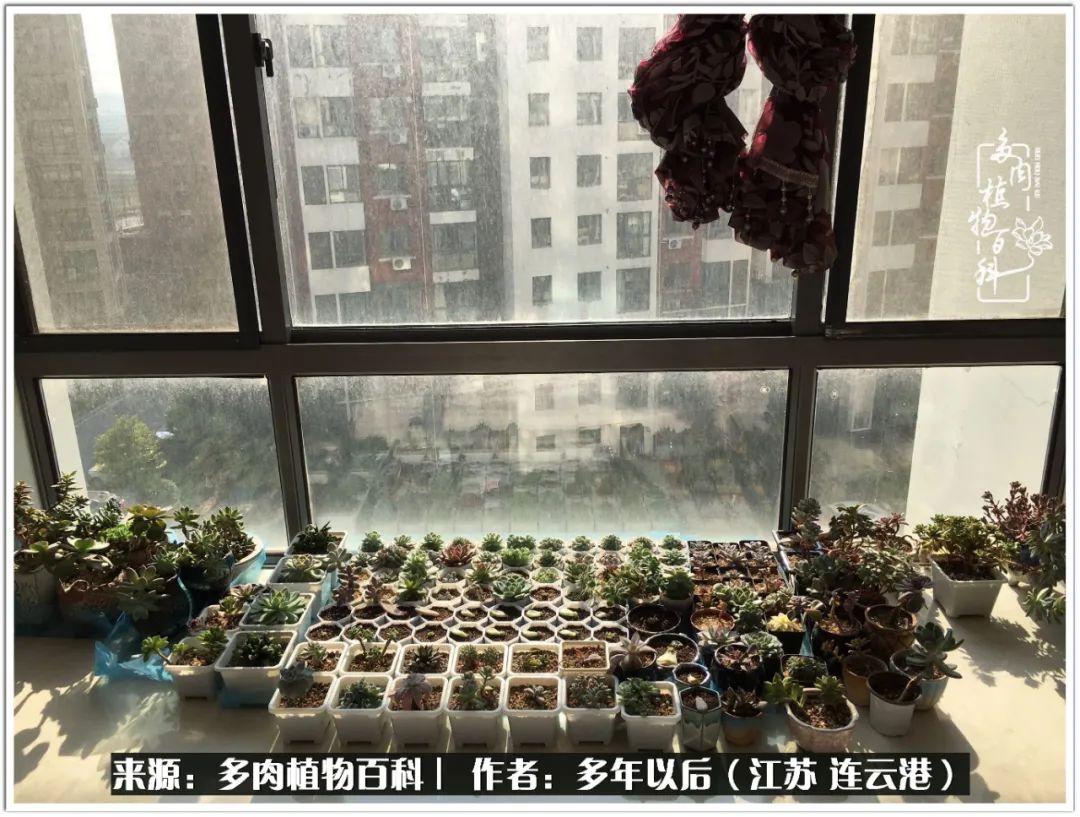 我若不弃，愿你不负我所期