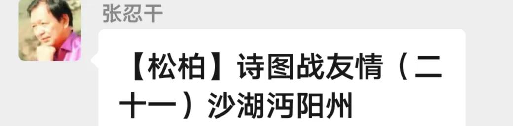 【松柏】诗图战友情（二十一）沙湖沔阳州