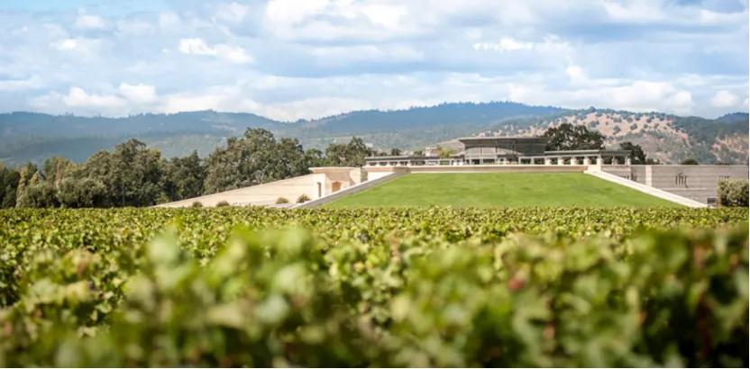 作品一号好在哪里,作品一号为什么有的便宜有的贵