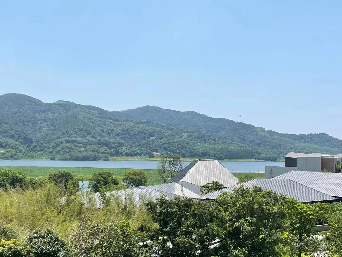 肇庆保利新楼盘最新信息,广东肇庆房价降价新闻