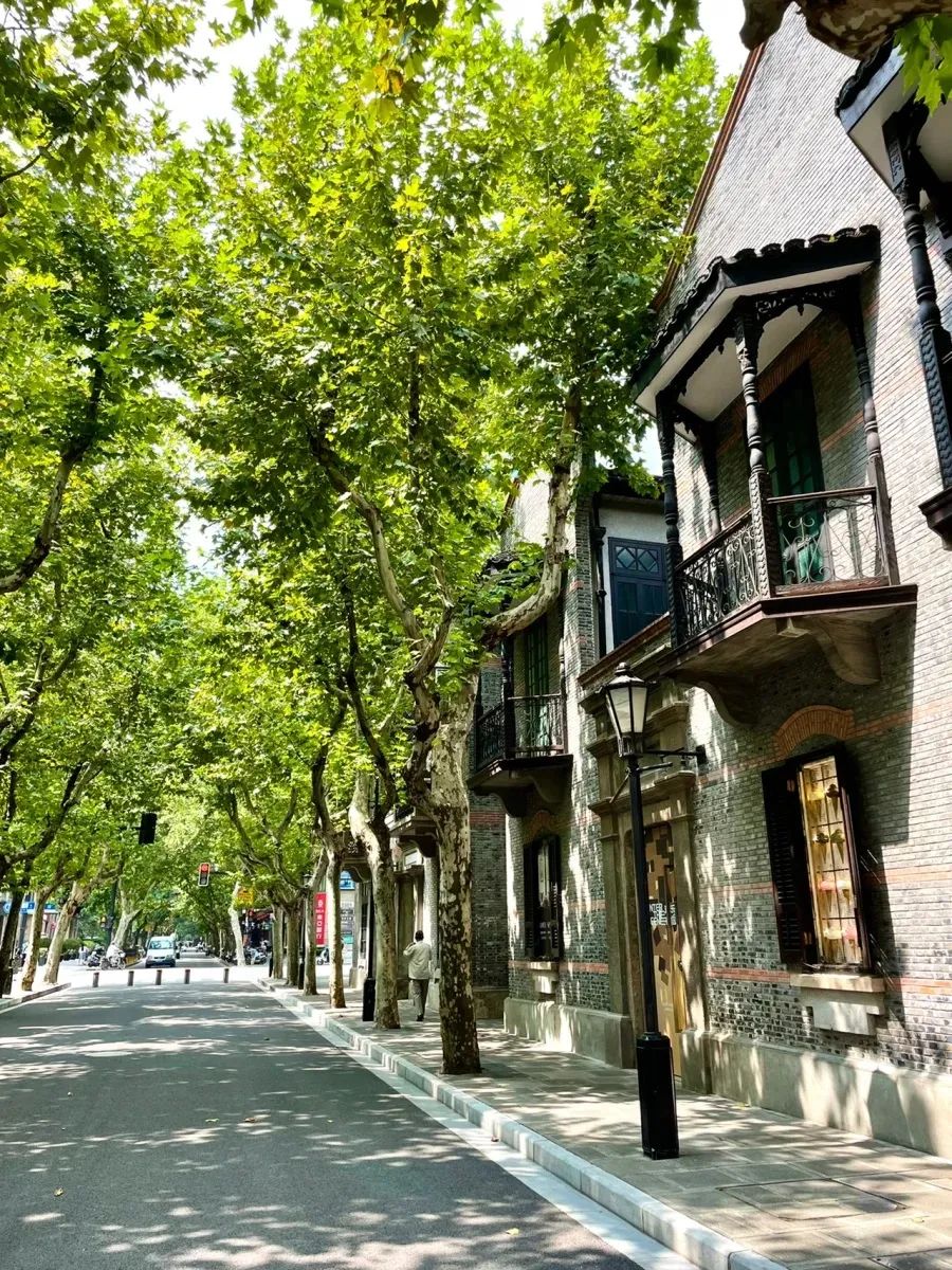 上海国际路亚展第三天,上海路亚展