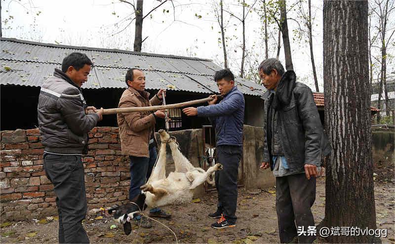 2乡村劳动者的生计：打工艰难，创业是出路