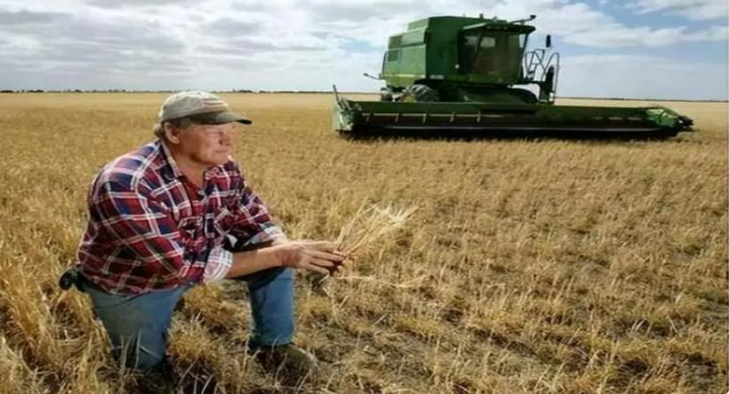 美国为何宁愿倒贴农民，也要把粮食出口到中国，暗地里有何阴谋？