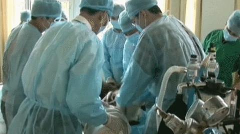 盘点网红大熊猫搞笑场面,大熊猫一摔成名