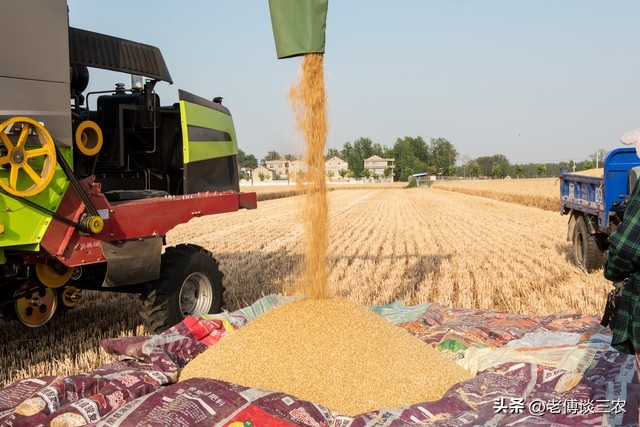 乡村存在的问题及振兴措施,农村乡村振兴存在的问题与困难