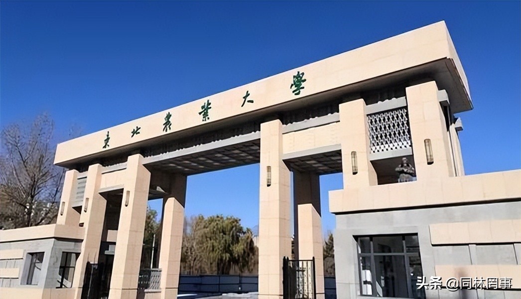70后眼中的齐齐哈尔大学,70年代的东北大学