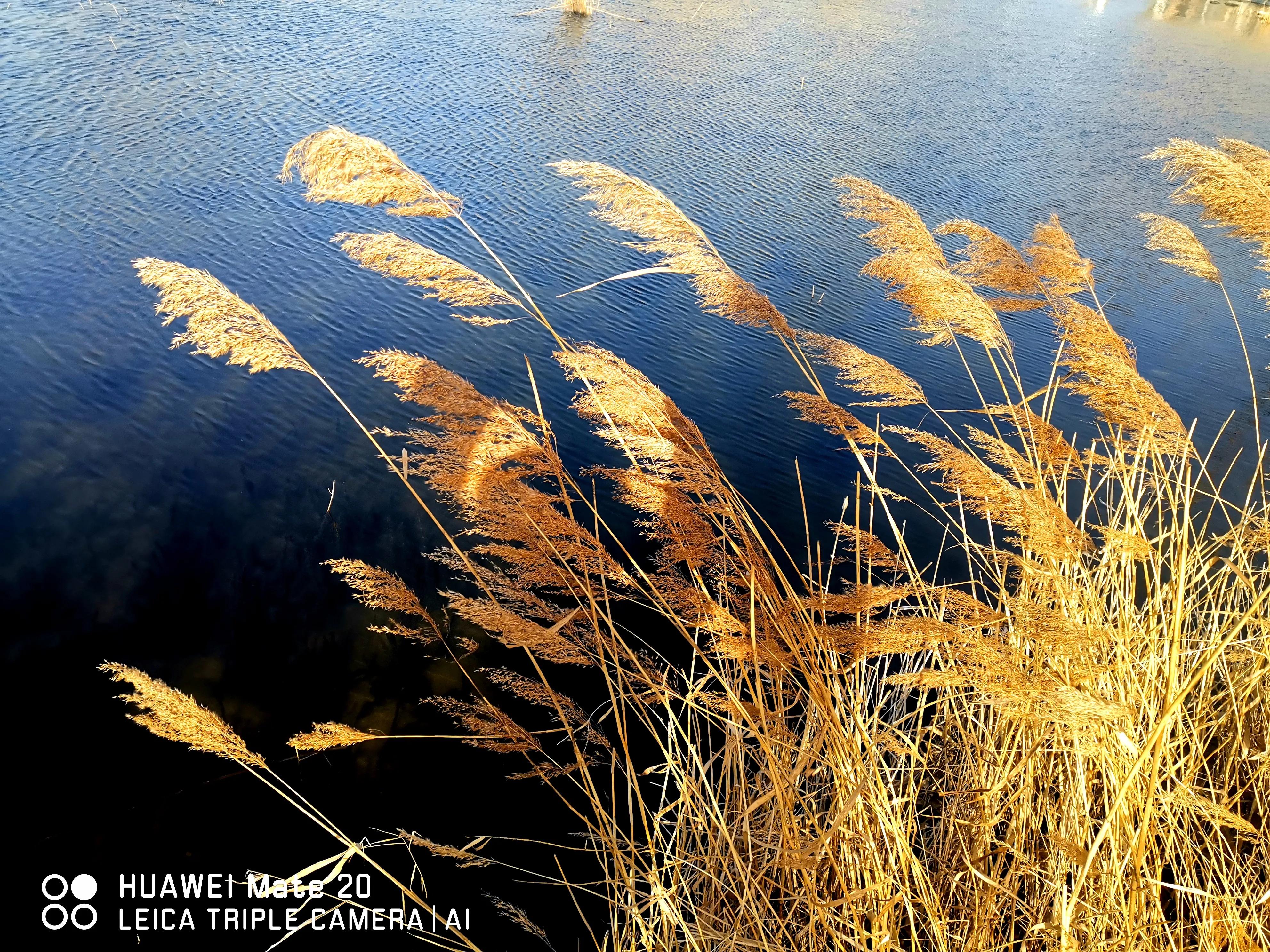 春节随笔高中800字,写春节的随笔50字