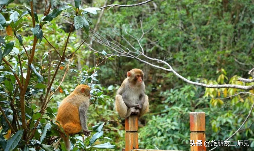 金秀圣堂湖在圣堂山吗,广州南浦出发一日游