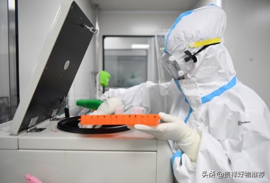 以前做的核酸检测可以查记录吗,如何查到以前的核酸检测报告记录