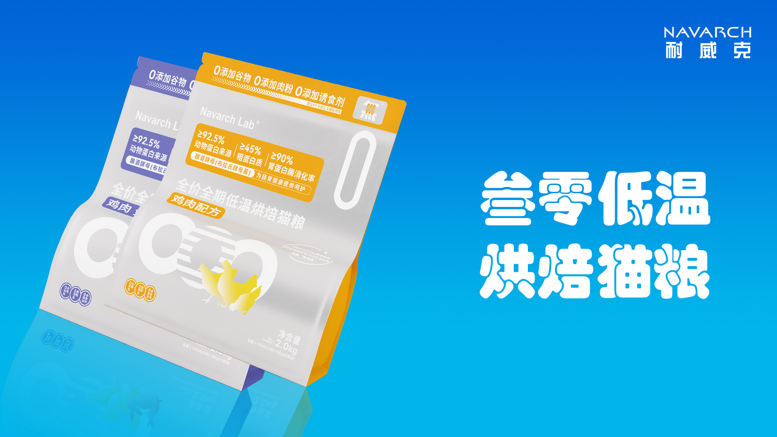 有关猫咪的100个冷知识,关于猫咪的一些冷知识你知道多少