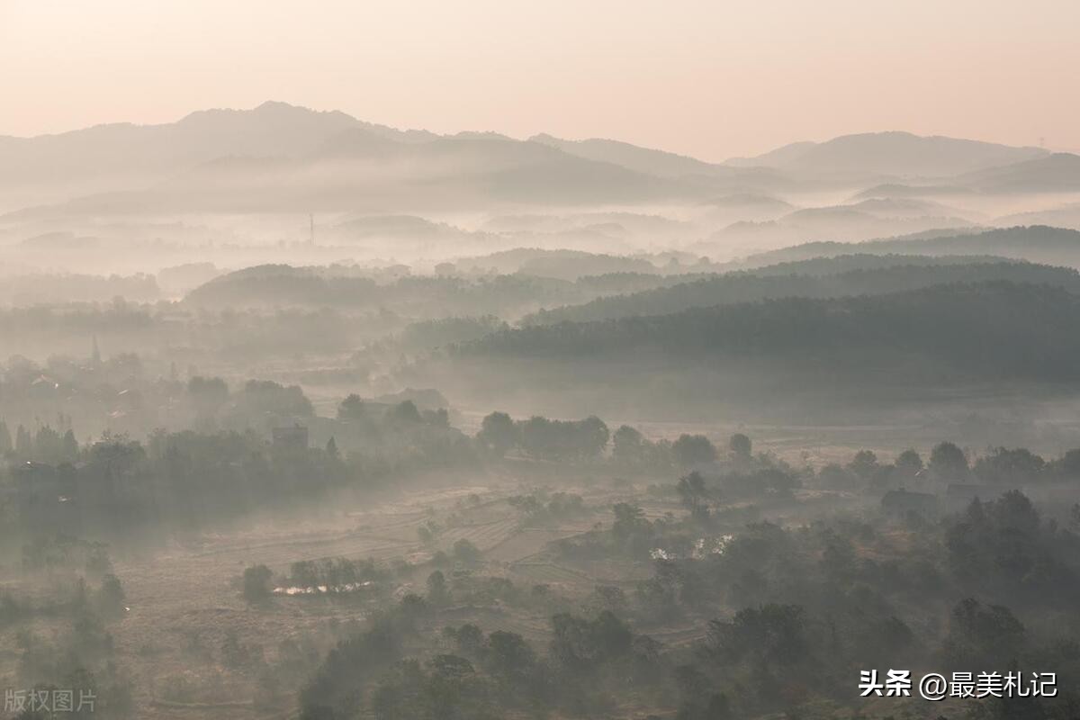 长尾理论背后的经济学原理,互联网如何利用长尾定律