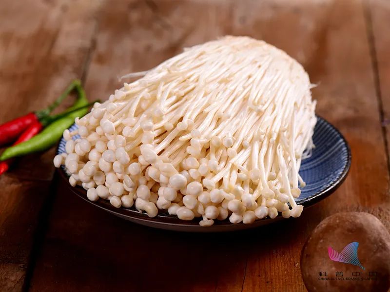 为什么吃金针菇要说今天吃明天见,金针菇什么时候吃合适