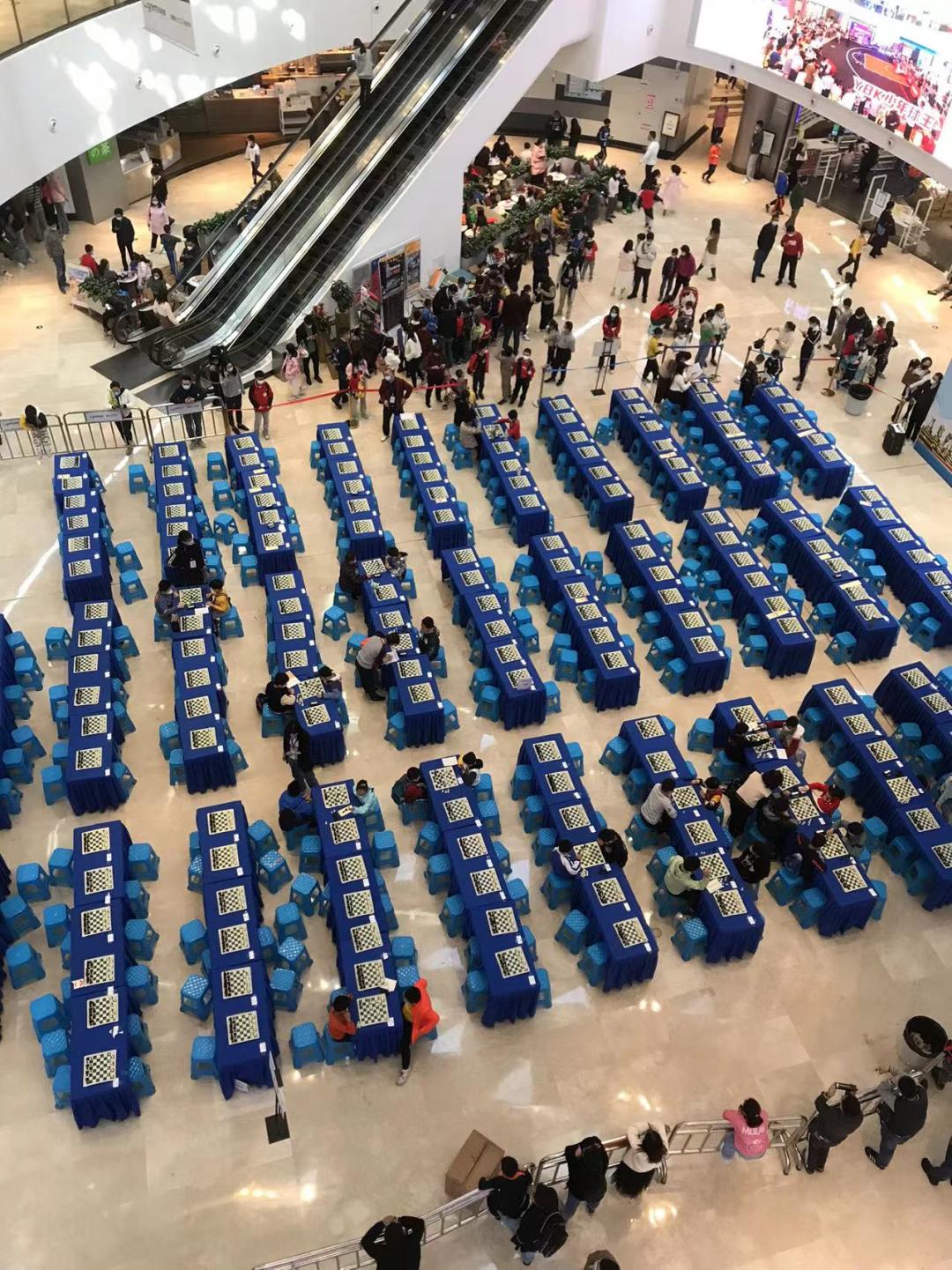 白岩松演讲翻车,白岩松去哪儿了