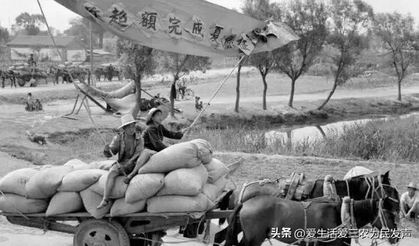 交公粮农民辛酸的诗词,交公粮时候农民苦吗