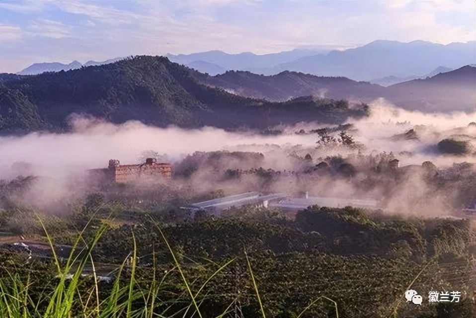 全国十大魅力茶乡有哪里,美丽的家乡茶乡