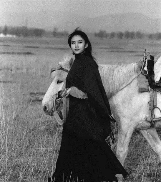 杨丽萍单身经历,杨丽萍自述不结婚原因