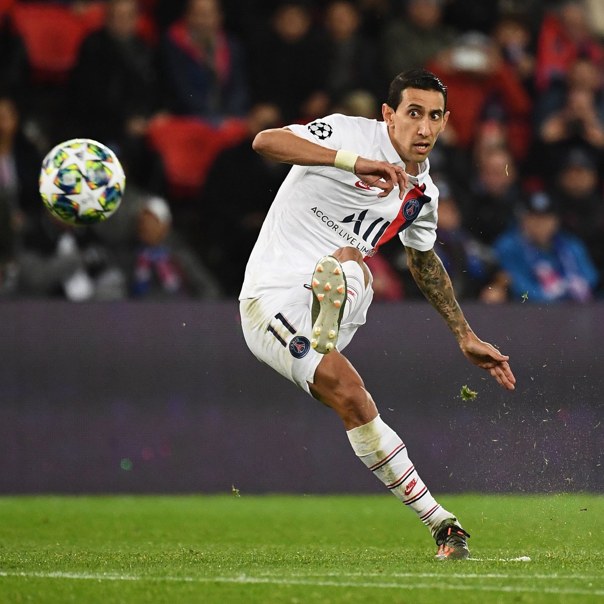 天使之翼迪马利亚壁纸,天使之翼迪马利亚视频