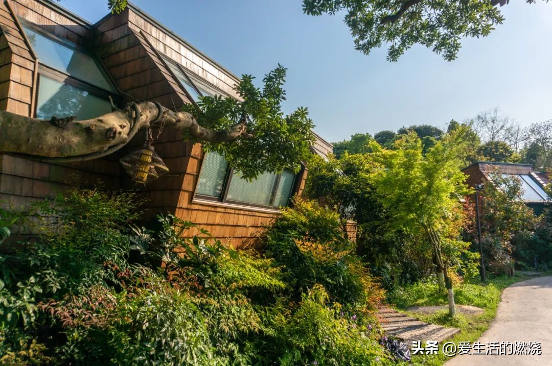 杭州森泊开元度假酒店不含门票,杭州开元森泊度假酒店存在的问题