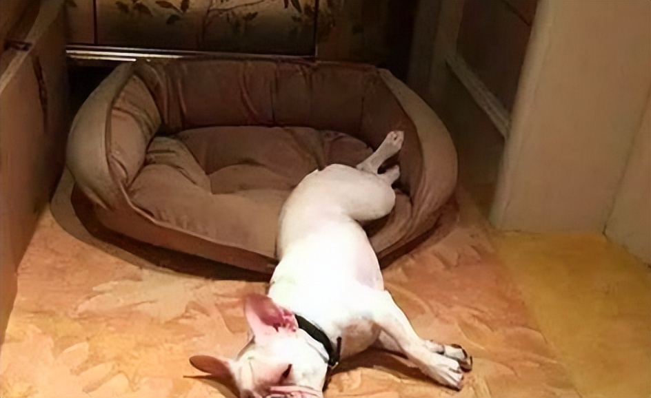 孙俪有几套别墅,孙俪个人资产有多少