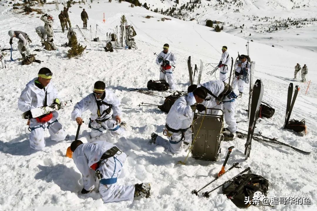 空军首次使用运20集中运送新学员,中国空军运20简介