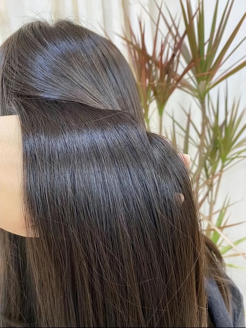 毛躁发质洗发水推荐卡诗,卡诗哪款洗发水最蓬松