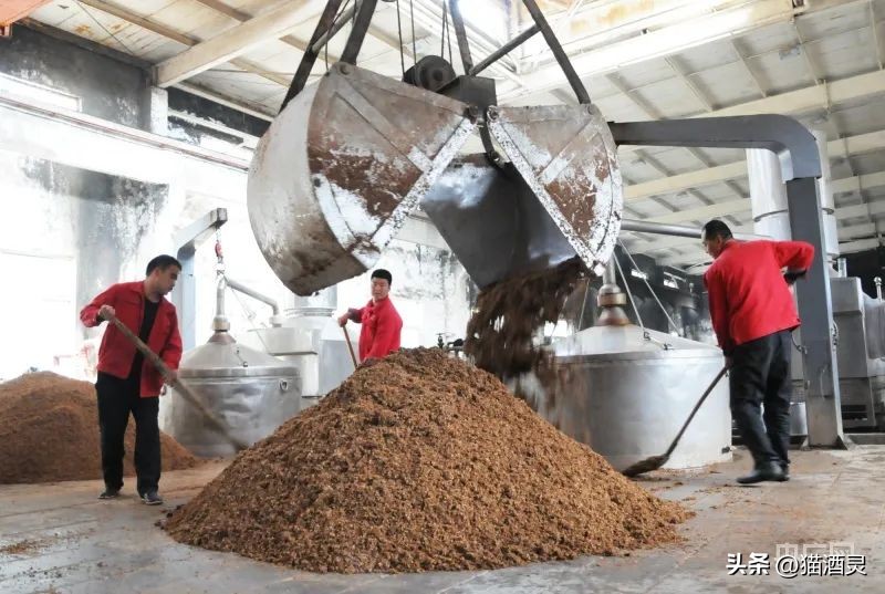 甘肃红川酒业有限公司工资,红川酒业2019年营收