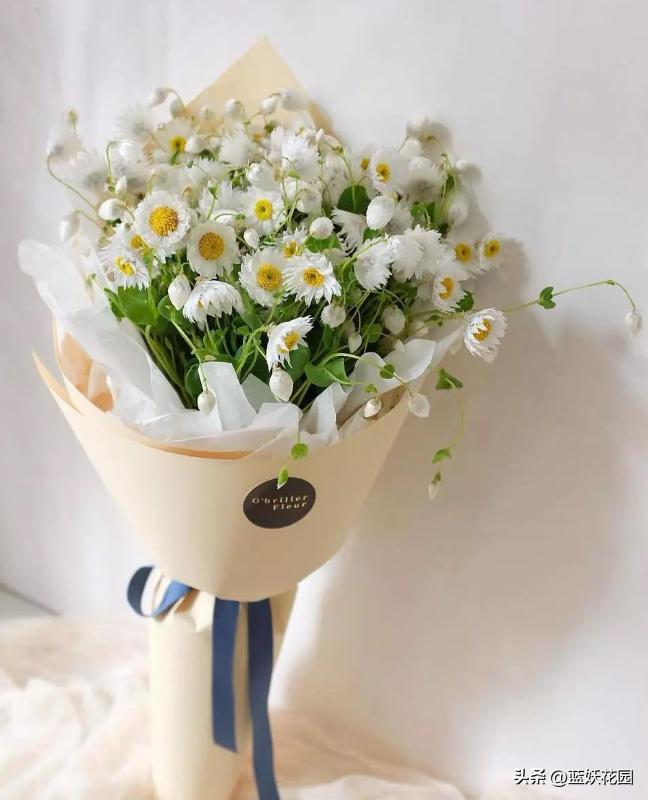 永生花的最大特点是鲜活清新靓丽,哪些永生花四季开花