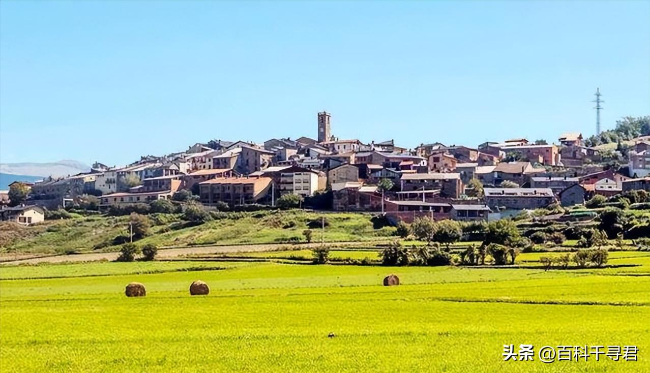 粮食产量对比表国家,粮食产量自给率
