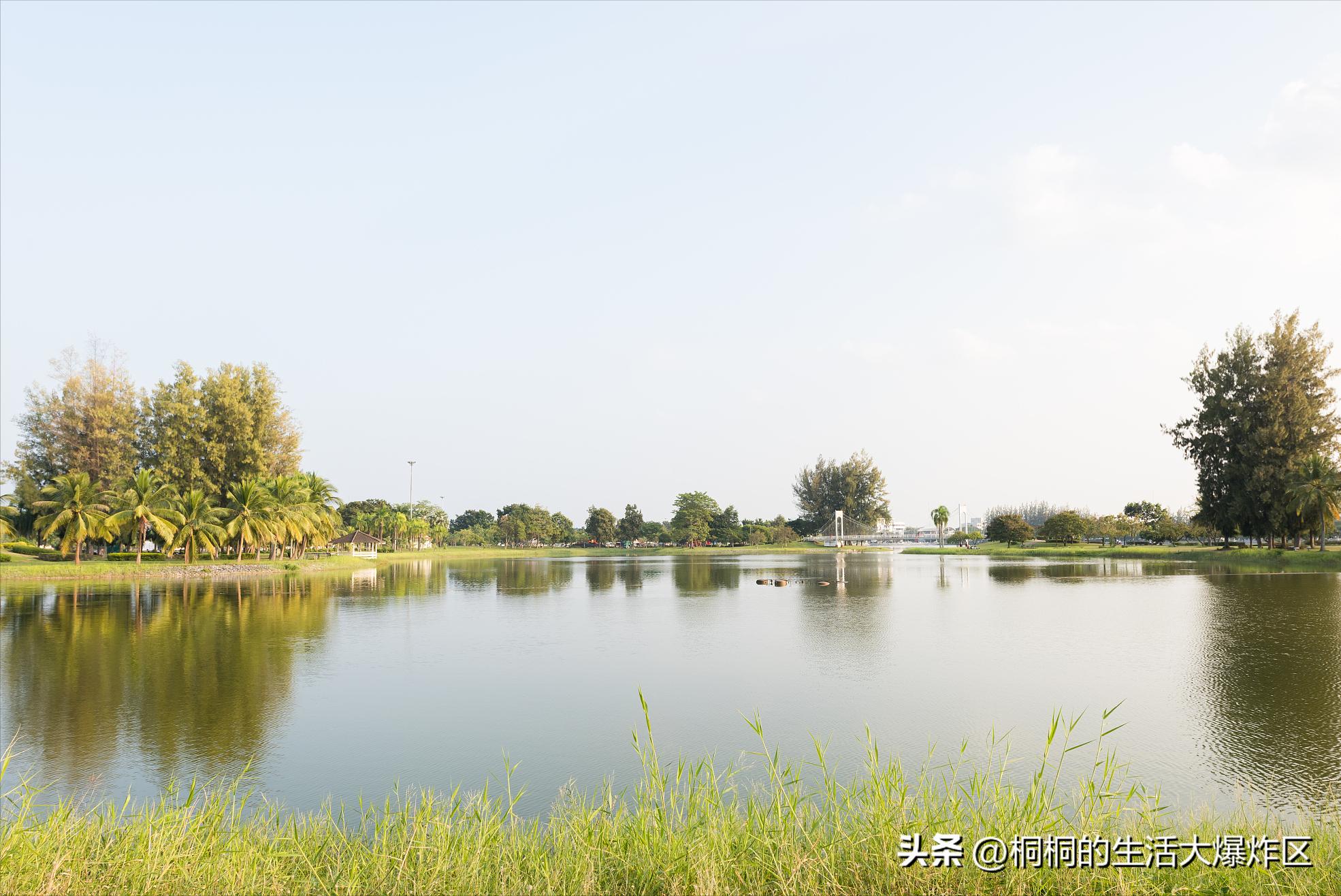 合肥出发自驾一日游路线,合肥巢湖一日游最佳路线