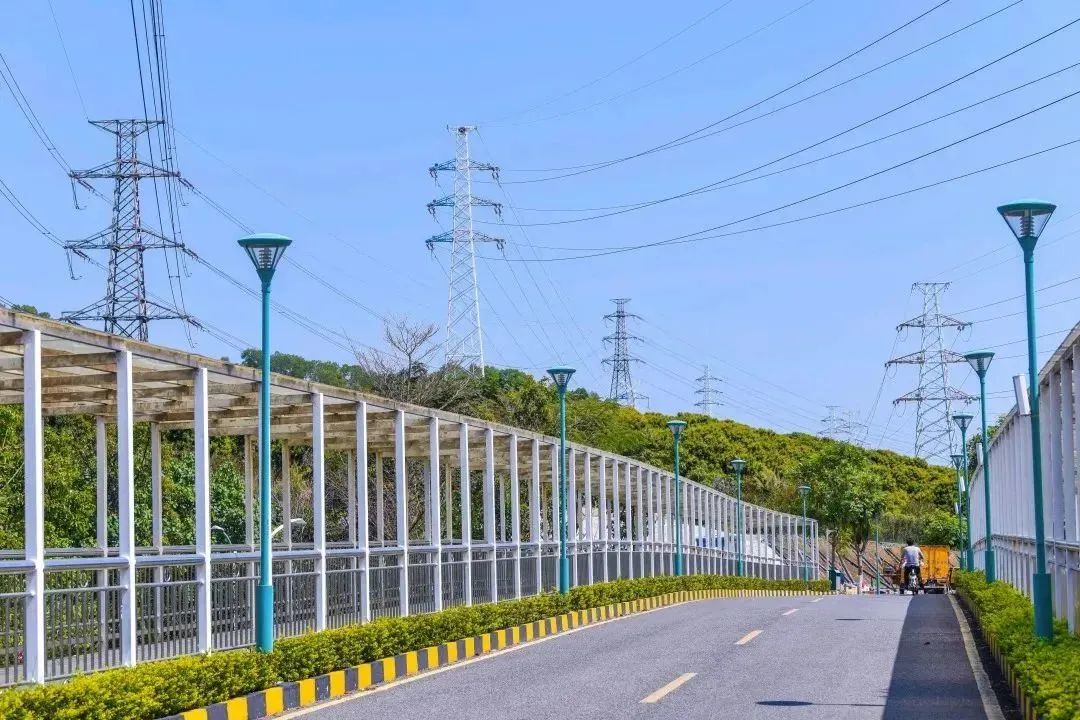 深圳职业技术学院凤凰山校区宿舍,深圳职业技术学院西丽湖校区宿舍