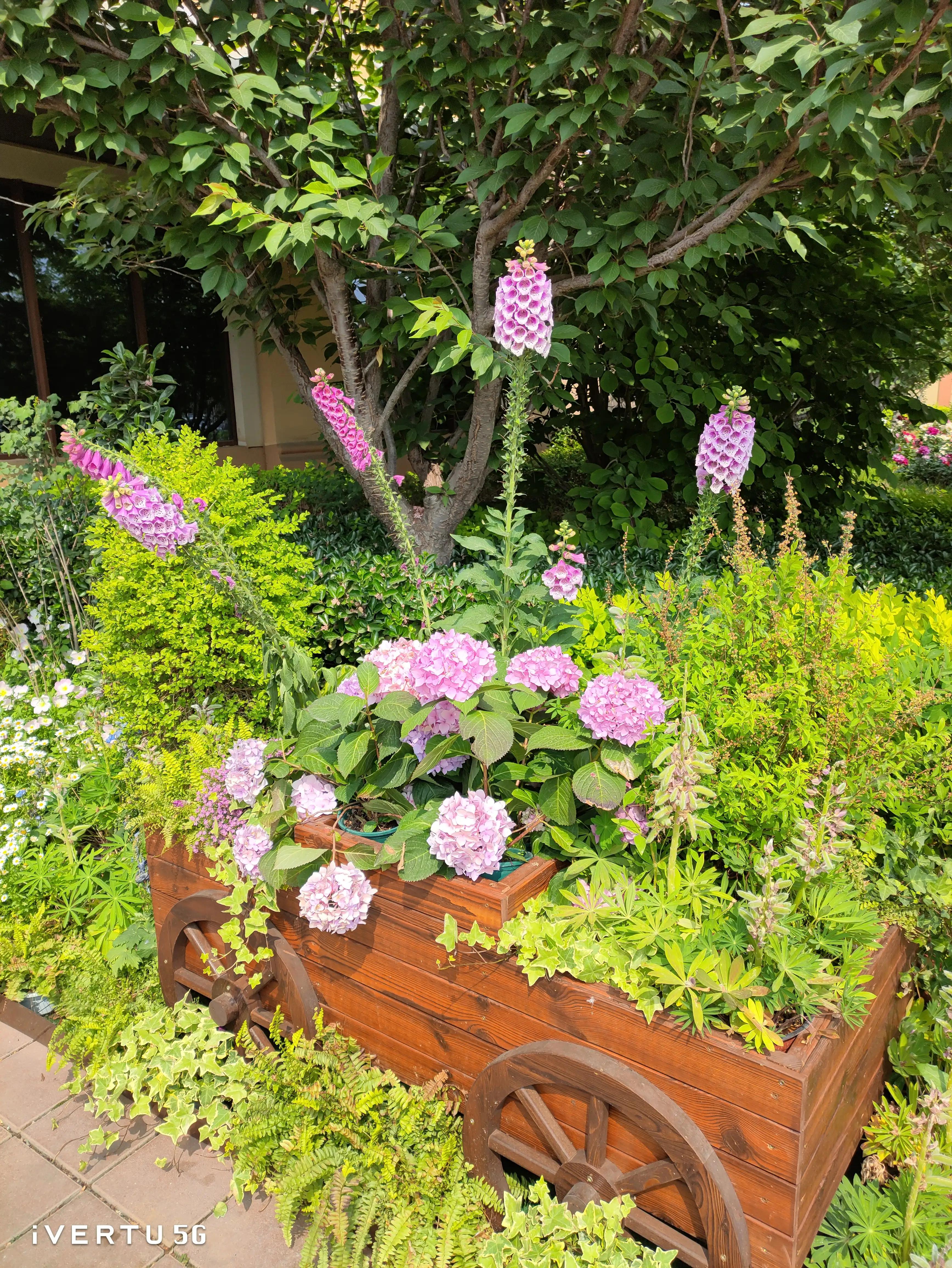 八达岭奥莱开门时间,八达岭奥莱有洪卡吗