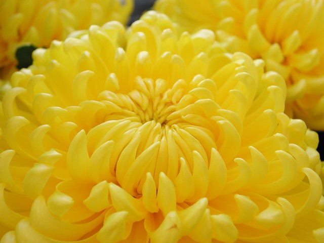 涓勾浠ュ悗濠氬Щ,涓勾濠氬Щ瀹炴儏