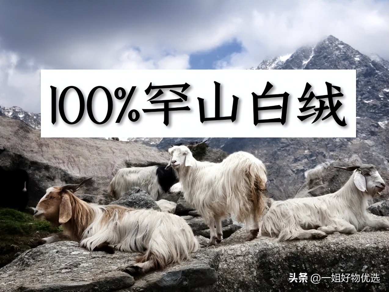 prada冬款羊绒围巾女,prada围巾意大利