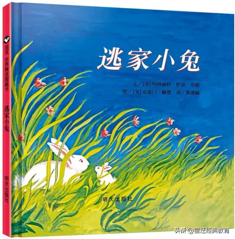 师生共读一本书朗读材料,师生共读一本书五年级展示视频