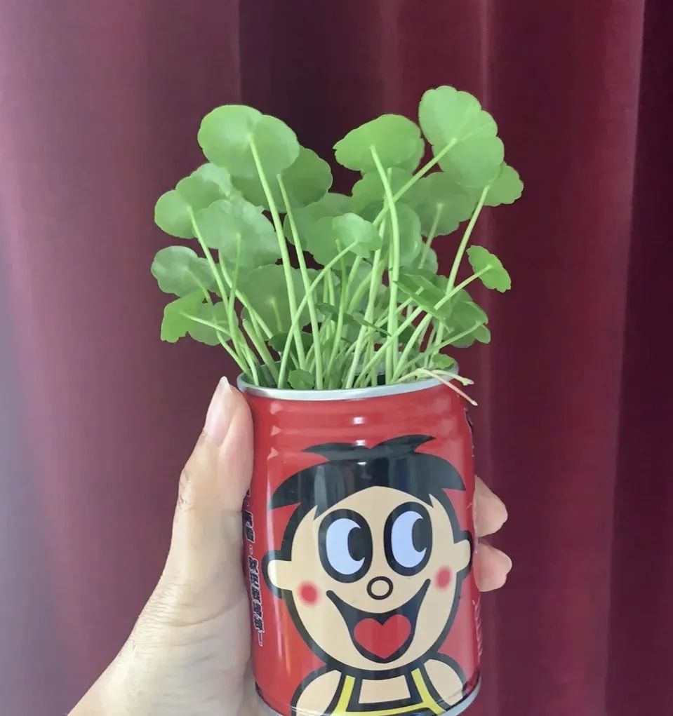 邻居扔垃圾屡教不改,邻居总是扔垃圾在花坛