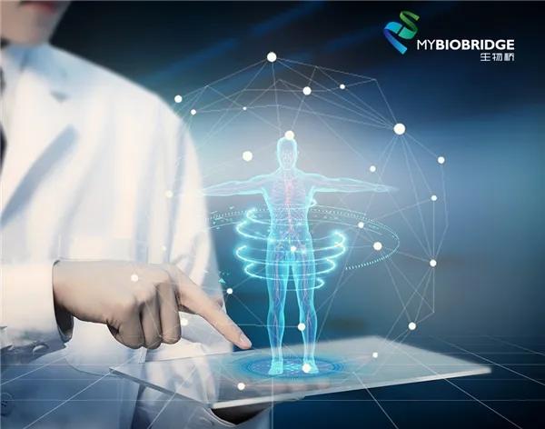 发挥中医特色优势，生物桥智能手表助力智慧养老