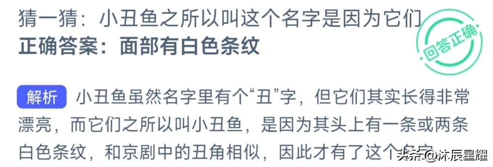 支付宝小鸡庄园今天答题答案,支付宝解除限制安全答题答案