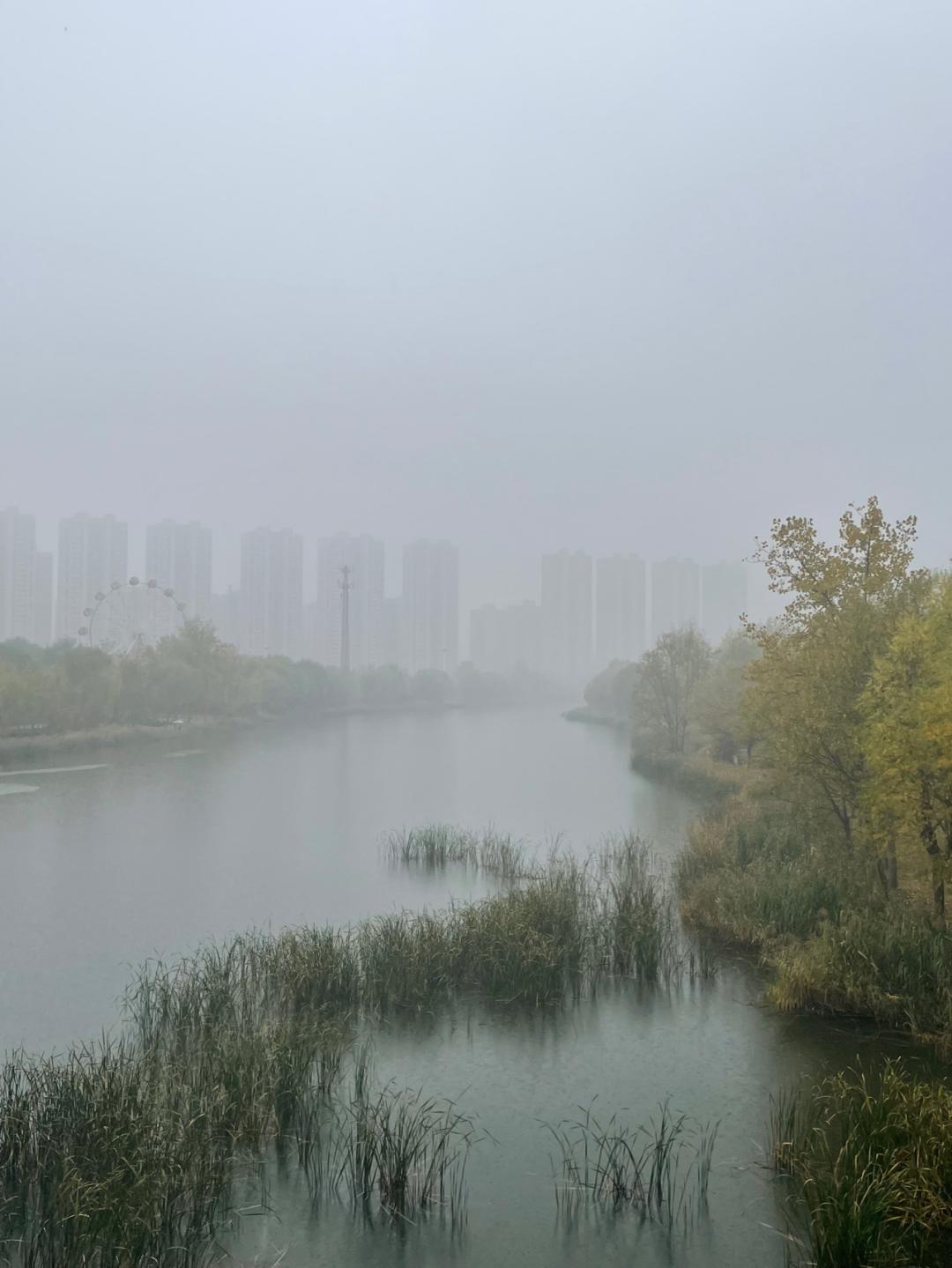 董董骑行山东,山东菏泽巨野县怎么样